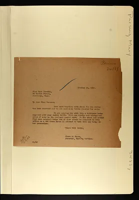 p. 31