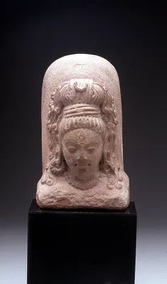 p. 7