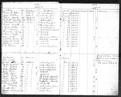 p. 7