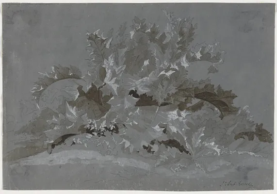 Study of Weeds