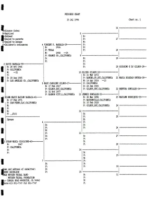 p. 26