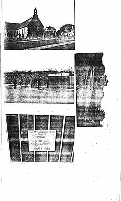 p. 6