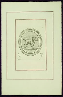Portrait of Madame de Pompadour’s Dog (Bébé?), from Madame de Pompadour's ""Suite of Prints""
