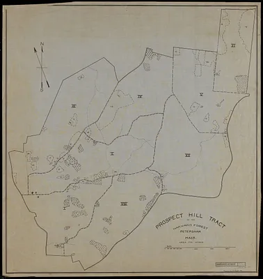 Prospect Hill Forest Operations
