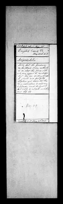 p. 29