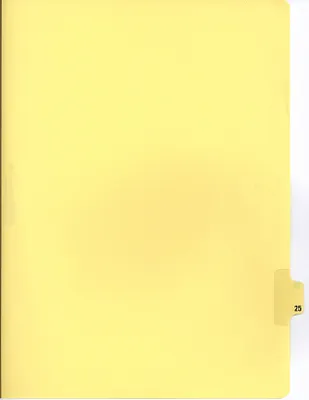 p. 39