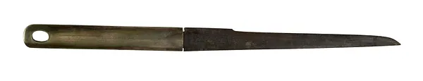 Kozuka with Wasp