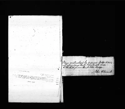 p. 8