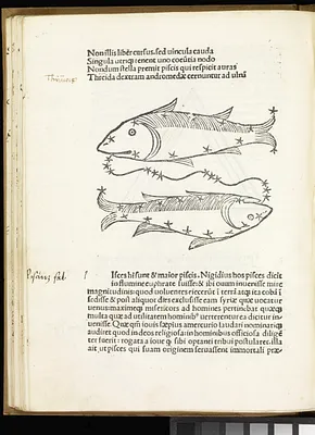 p. 38