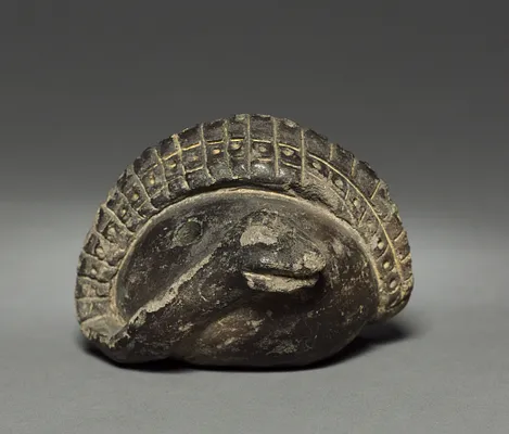 Coiled Snake