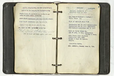 p. 49