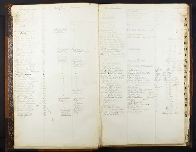 p. 8