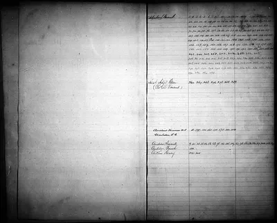 p. 3