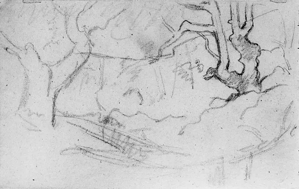 Landscape with rocks and trees