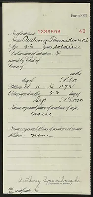 p. 46