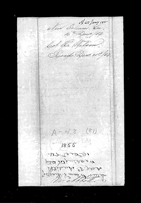 p. 24