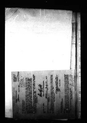 p. 50