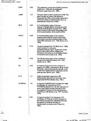 p. 29