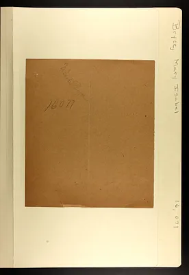p. 37