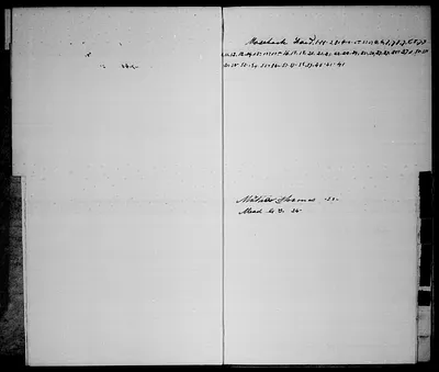 p. 7