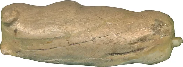 Hippopotamus