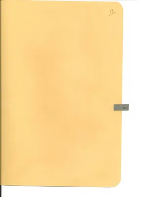 p. 51