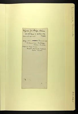 p. 7