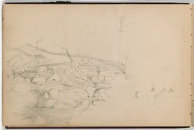 p. 5