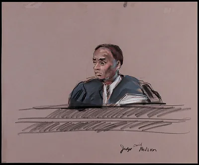 Judge David Nelson