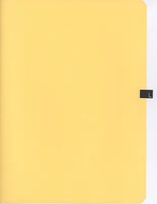 p. 29