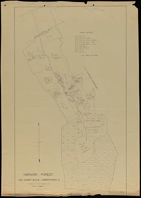 Tom Swamp IX stand map 1934 and experimental reproduction cutting operations