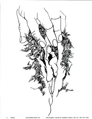 p. 41