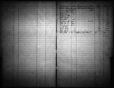 p. 21