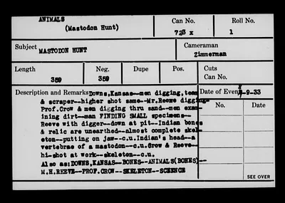 p. 21