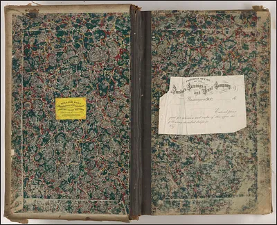 p. 11