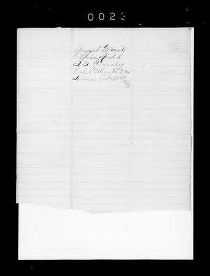 p. 33