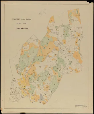 Prospect Hill Block, Future Operations