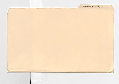 p. 19