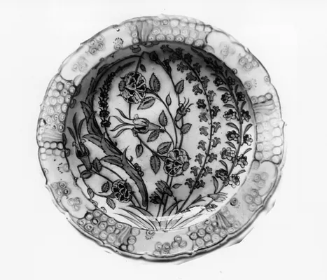 Dish
