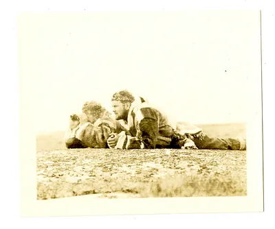 p. 3