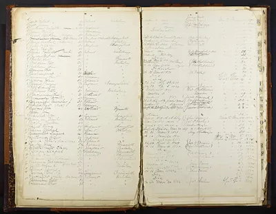 p. 31