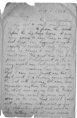 p. 5