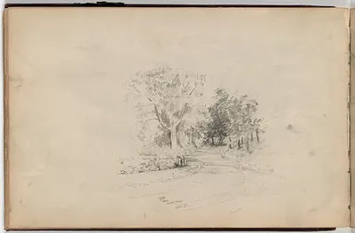 p. 45