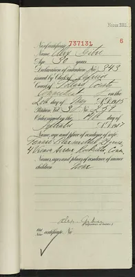 p. 7