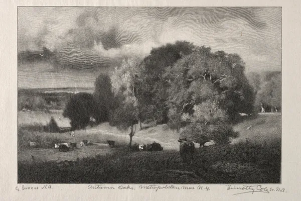 Autumn Oaks