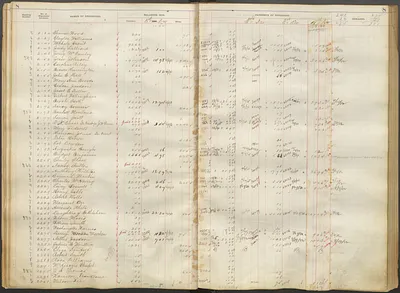 p. 11