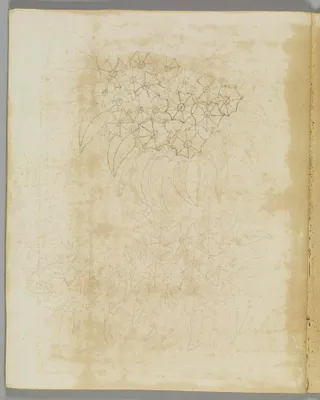 Emblematical Figures, Representations and Etc. to Please the Eye