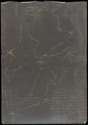 A plan of the town of Walpole taken by an actual survey in the month of October 1794 and layed down from a scale of 200 rods to an inch