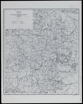 Whitman National Forest, Blue Mountains Division, Oregon