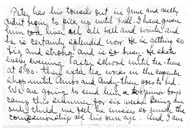 p. 6